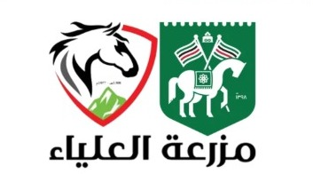 61ec1654b0d1290fd1c34354.jpeg_optz